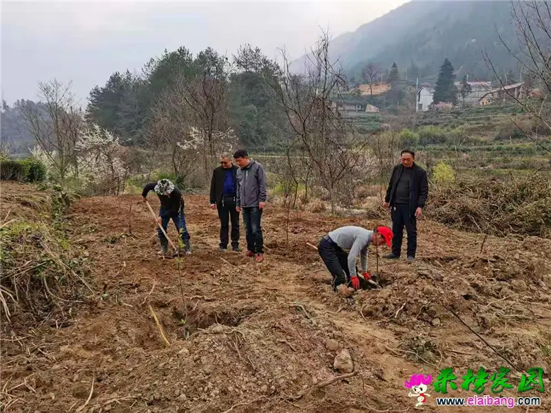 微信图片_20210315161103.webp