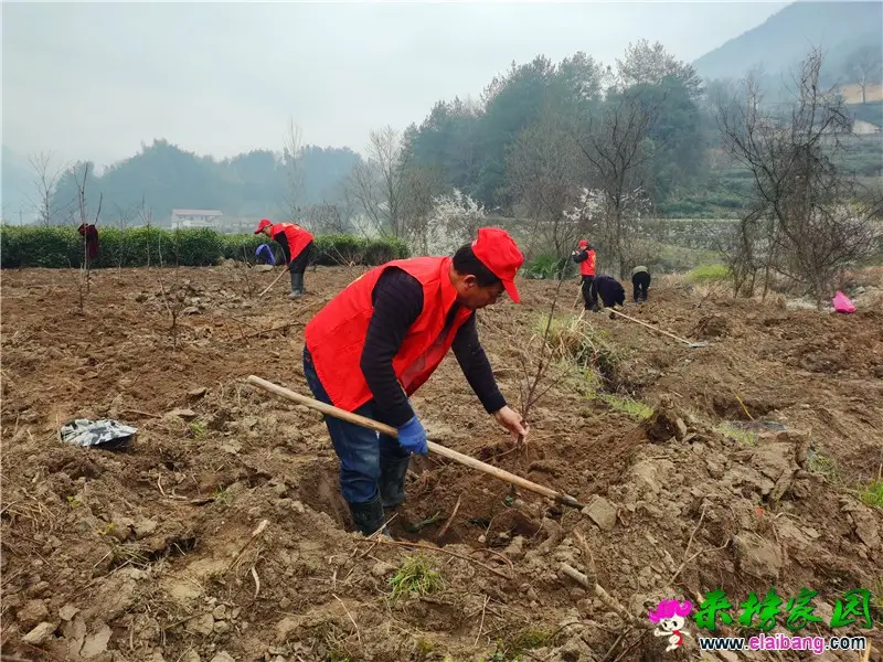 微信图片_20210315161056.webp