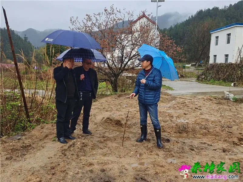 微信图片_20210317203326.webp