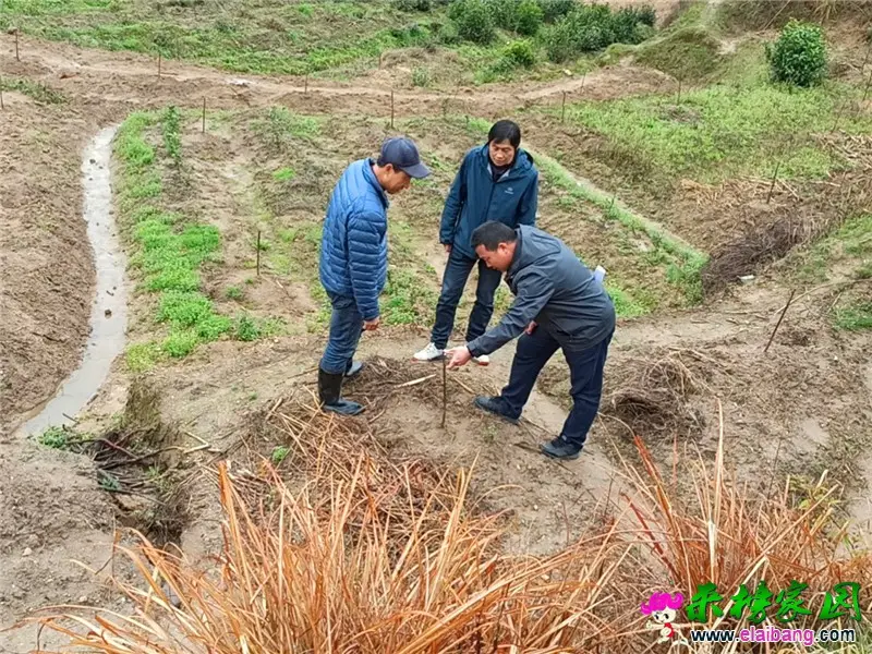 微信图片_20210317203324.webp