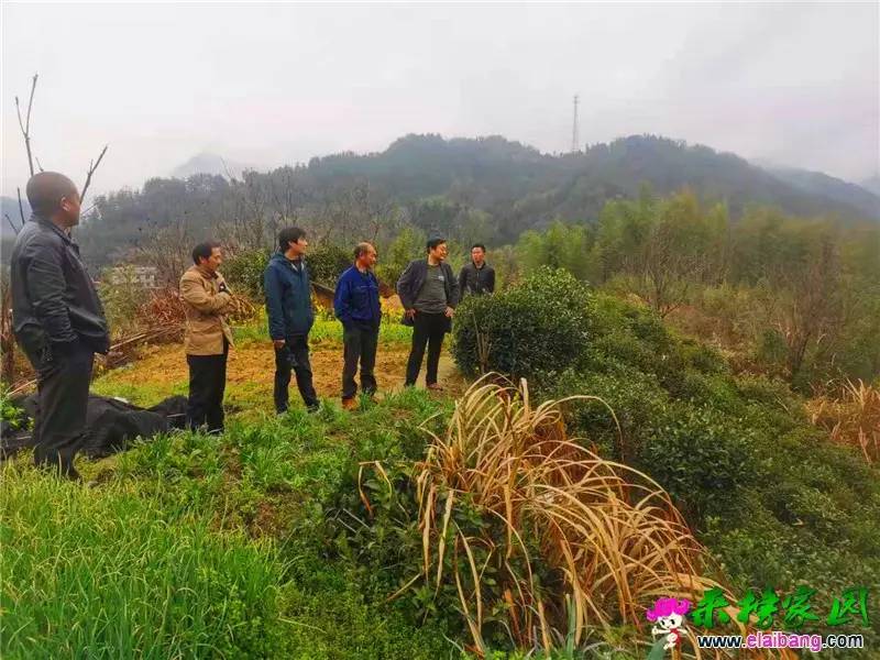 微信图片_20210318172023.webp