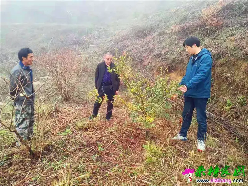 微信图片_20210318172028.webp