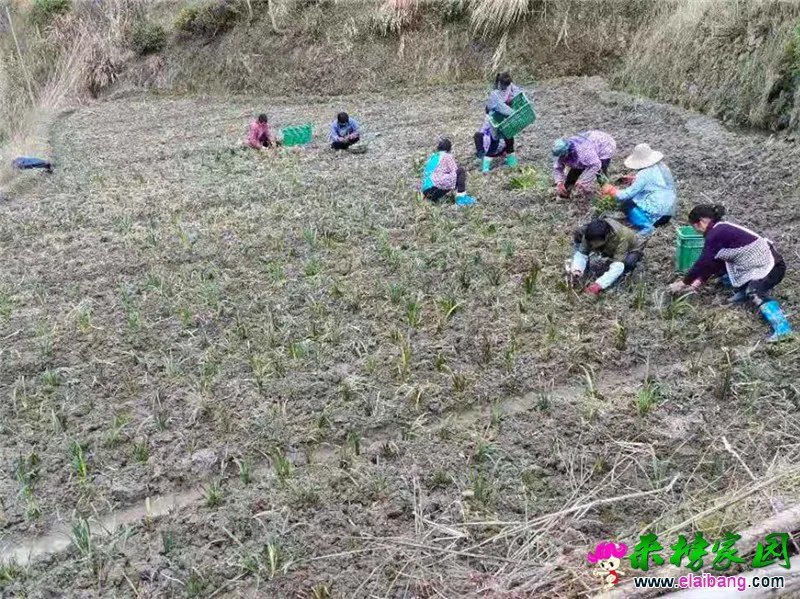 微信图片_20210319191007.webp