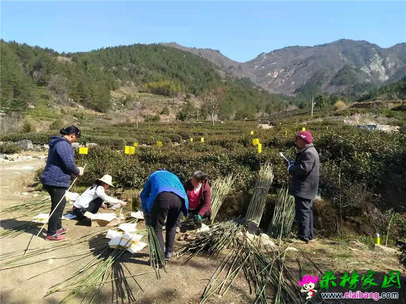 微信图片_20210322201948.webp