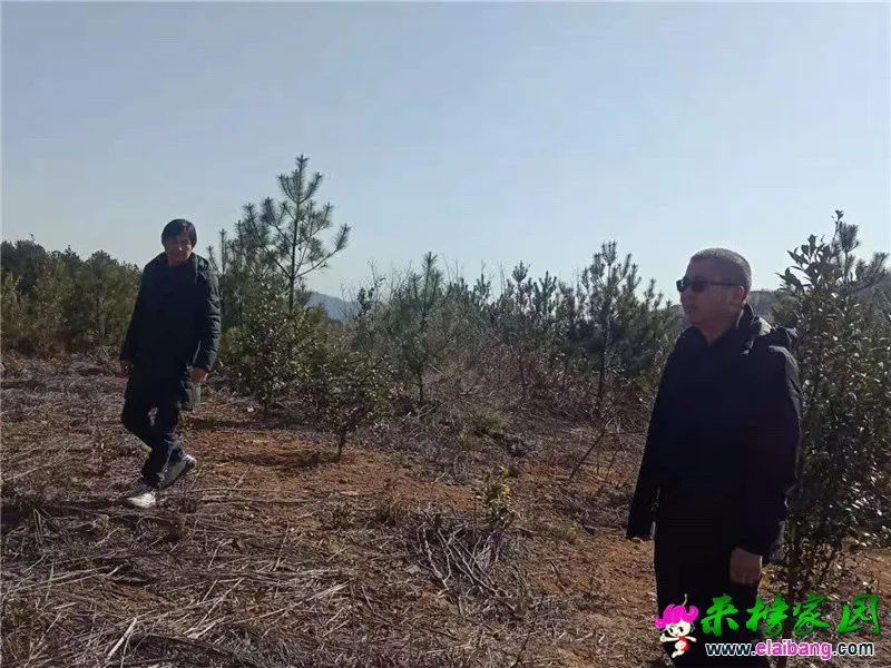 微信图片_20210322201944.webp