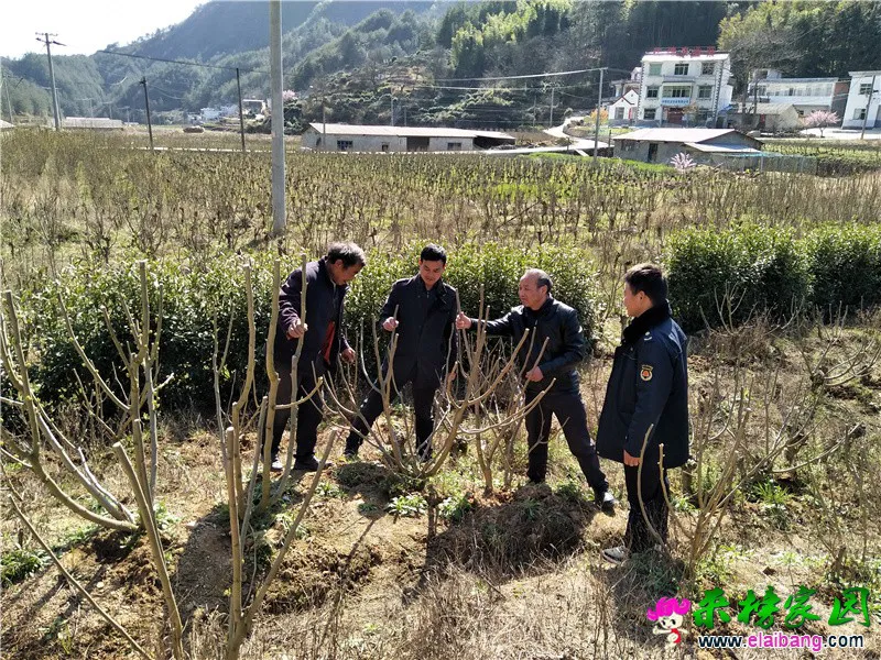 微信图片_20210322202024.webp