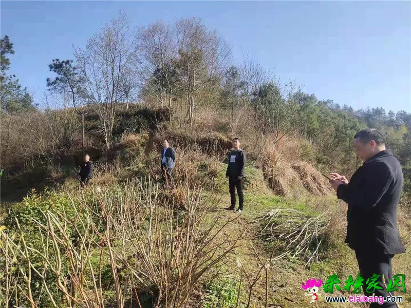 微信图片_20210322202027.webp