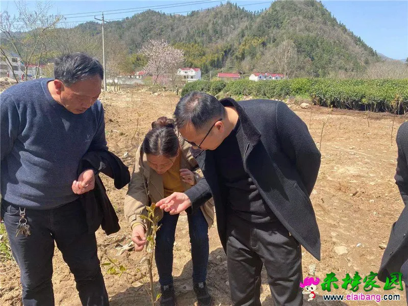 微信图片_20210322202000.webp