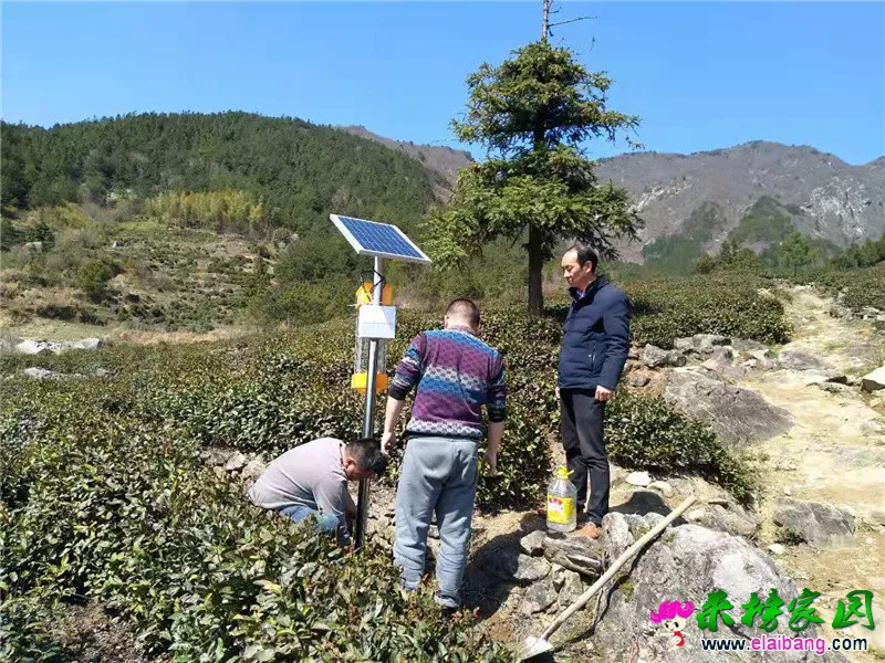 微信图片_20210322202010.webp