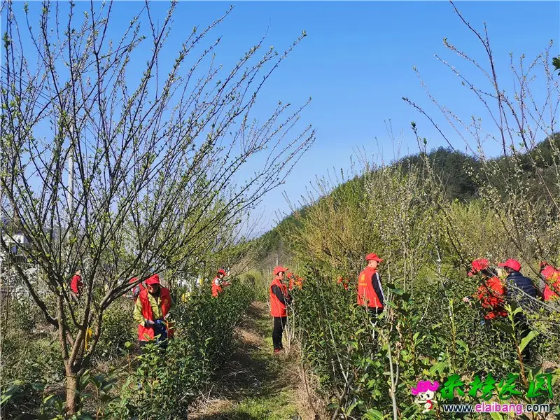 微信图片_20210324200442.webp