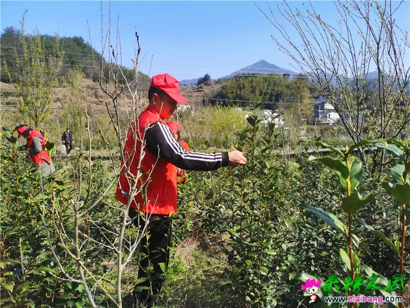 微信图片_20210324200444.webp