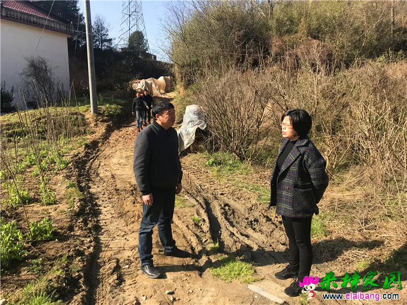 微信图片_20210325202324.webp