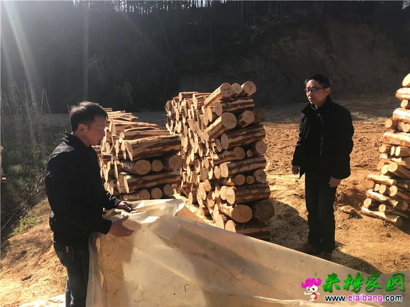 微信图片_20210325202320.webp