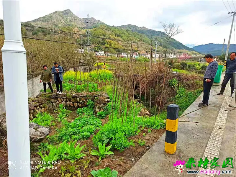 微信图片_20210327215904.webp