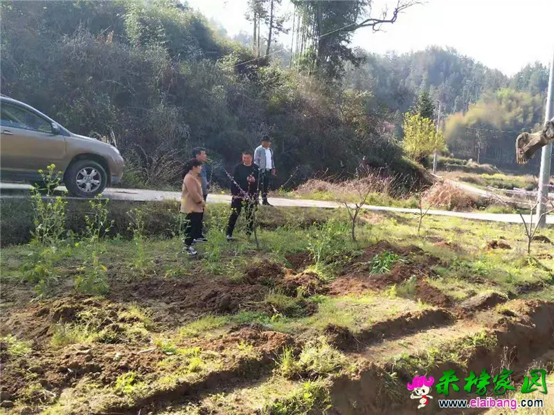 微信图片_20210328201722.webp