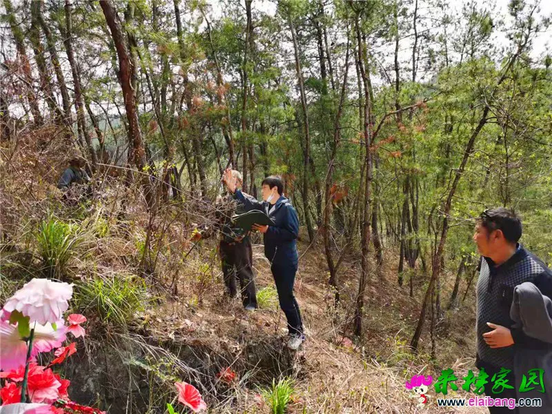 微信图片_20210329172206.webp