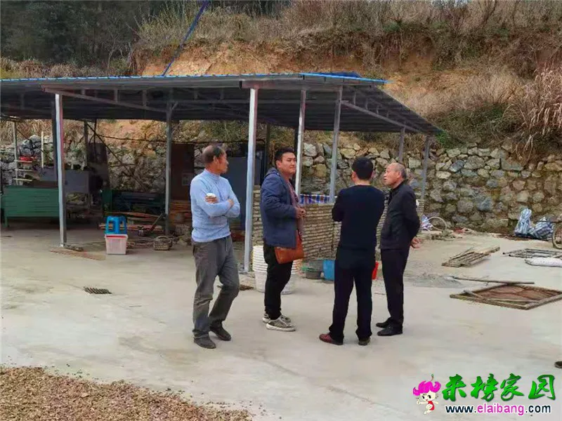 微信图片_20210329173249.webp