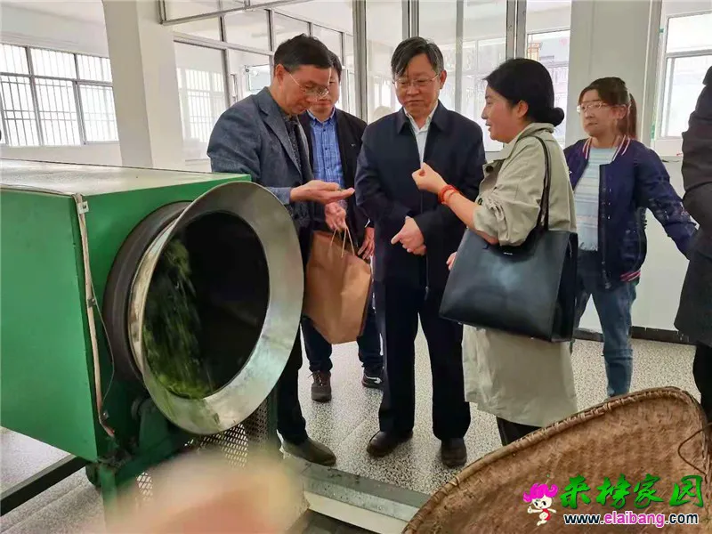 微信图片_20210330170358.webp