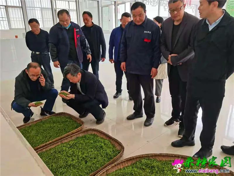 微信图片_20210330170355.webp