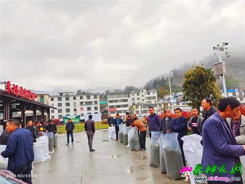 微信图片_20210331195433.webp