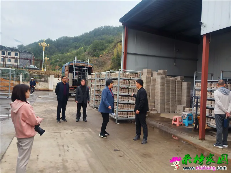 微信图片_20210331195442.webp