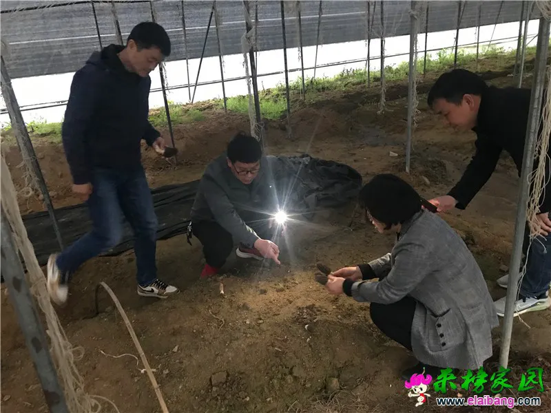 微信图片_20210331195722.webp