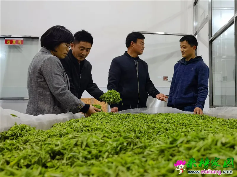微信图片_20210331195750.webp