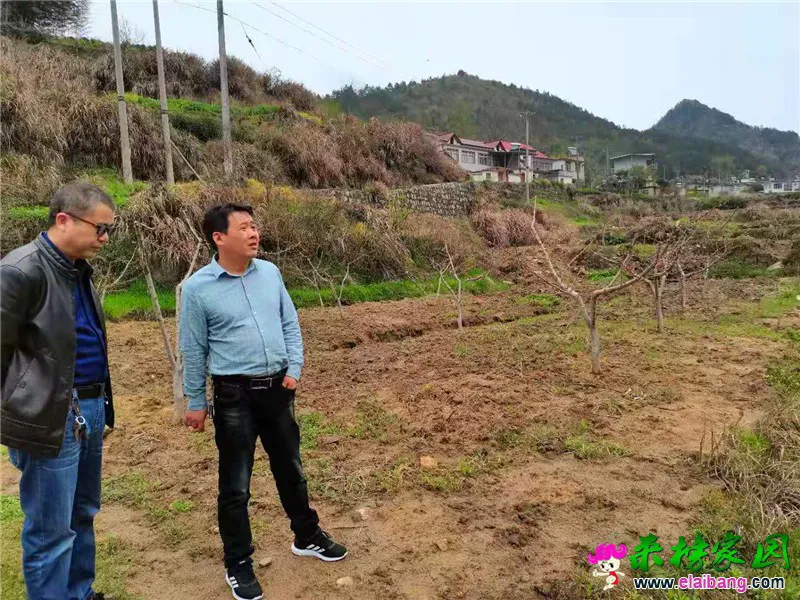 微信图片_20210331195447.webp