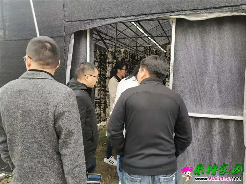 微信图片_20210401190755.webp