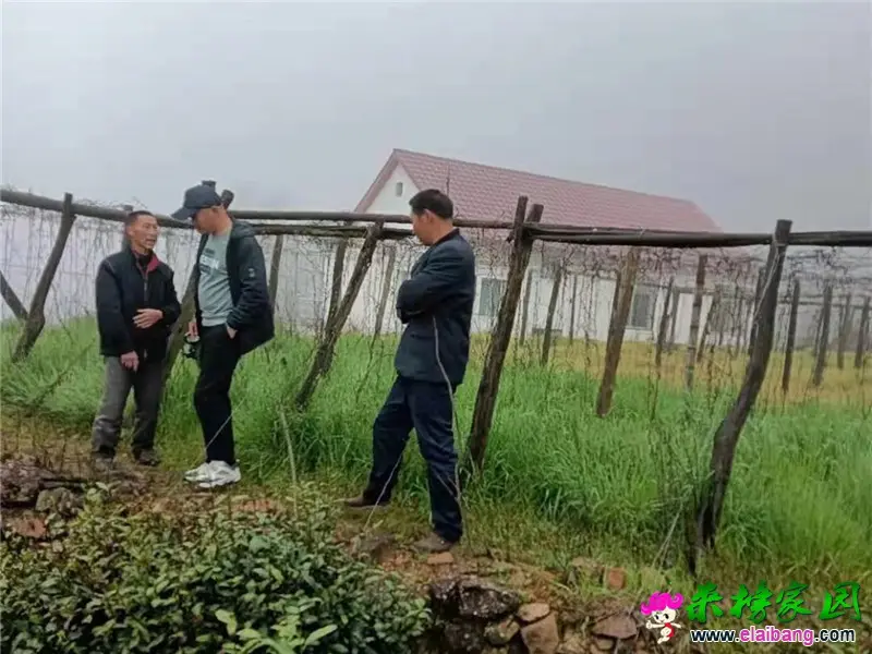 微信图片_20210401190824.webp