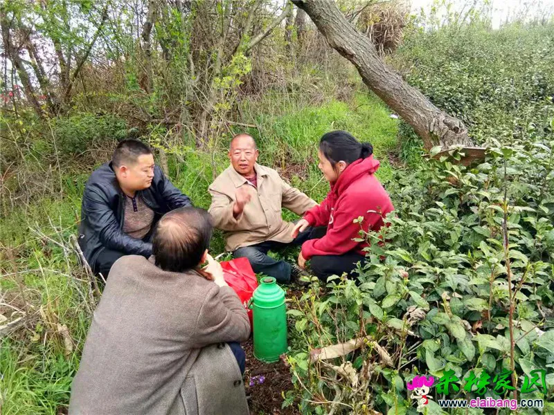 微信图片_20210403104037.webp
