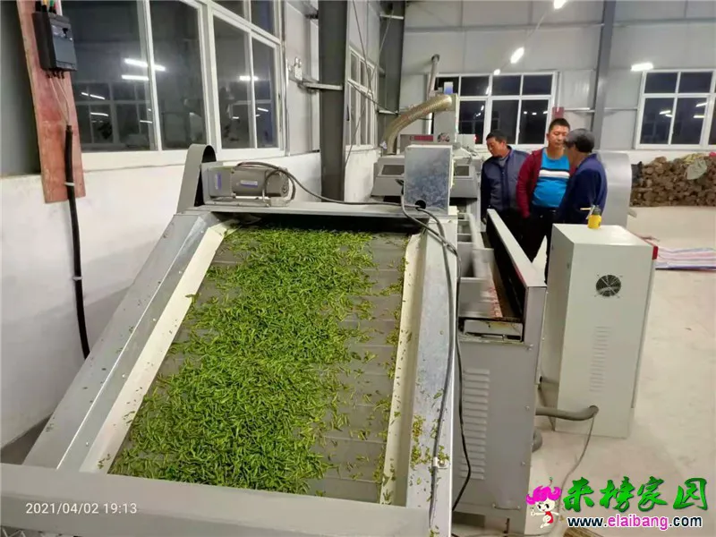 微信图片_20210403104112.webp