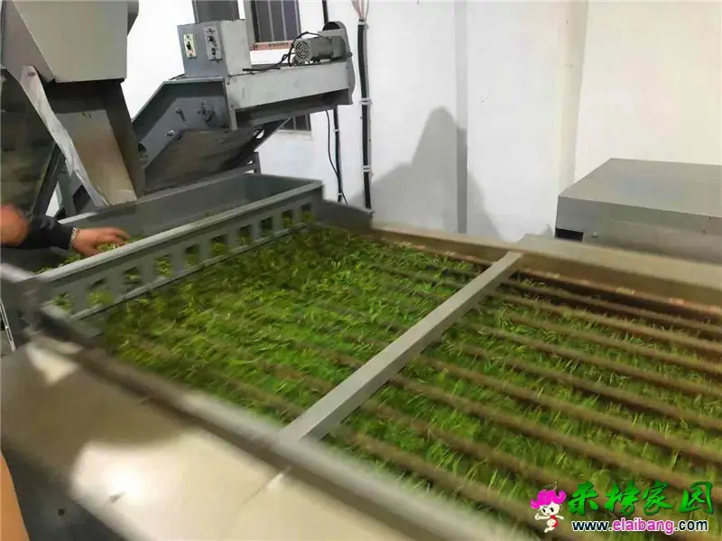 微信图片_20210403204811.webp