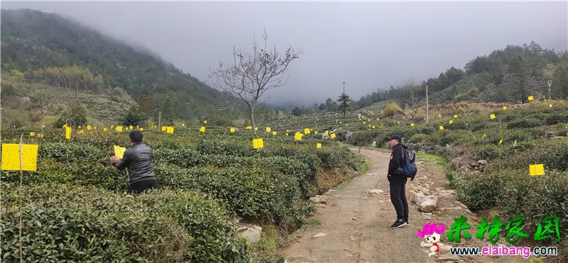 微信图片_20210408173616.webp