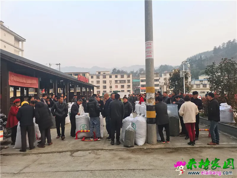 微信图片_20210409210636.webp