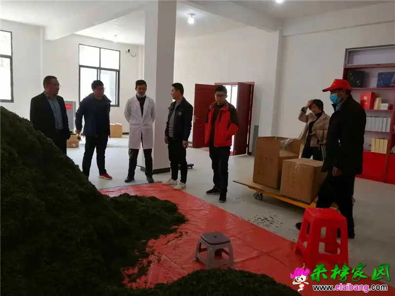 微信图片_20210409210655.webp