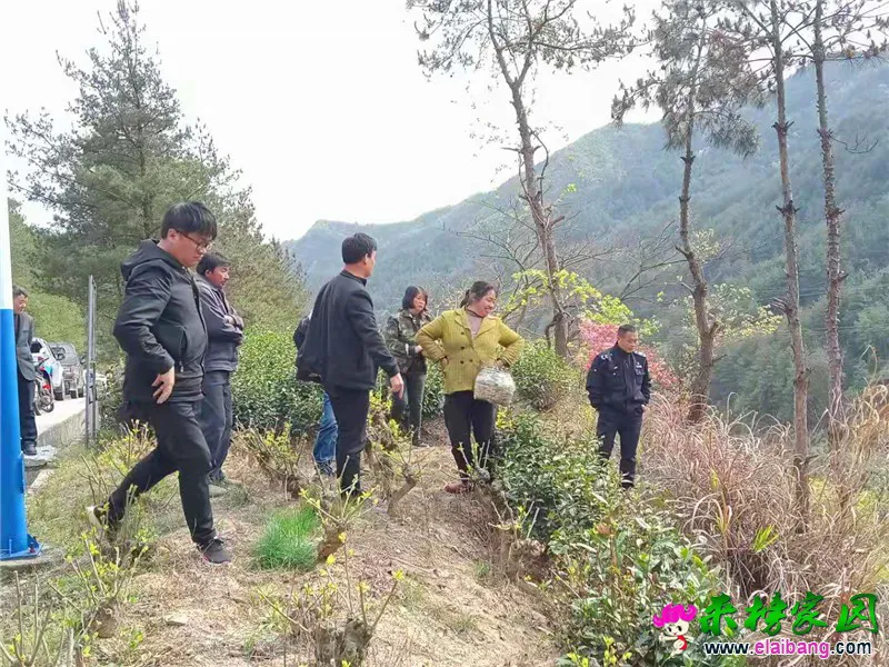 微信图片_20210410222643.webp