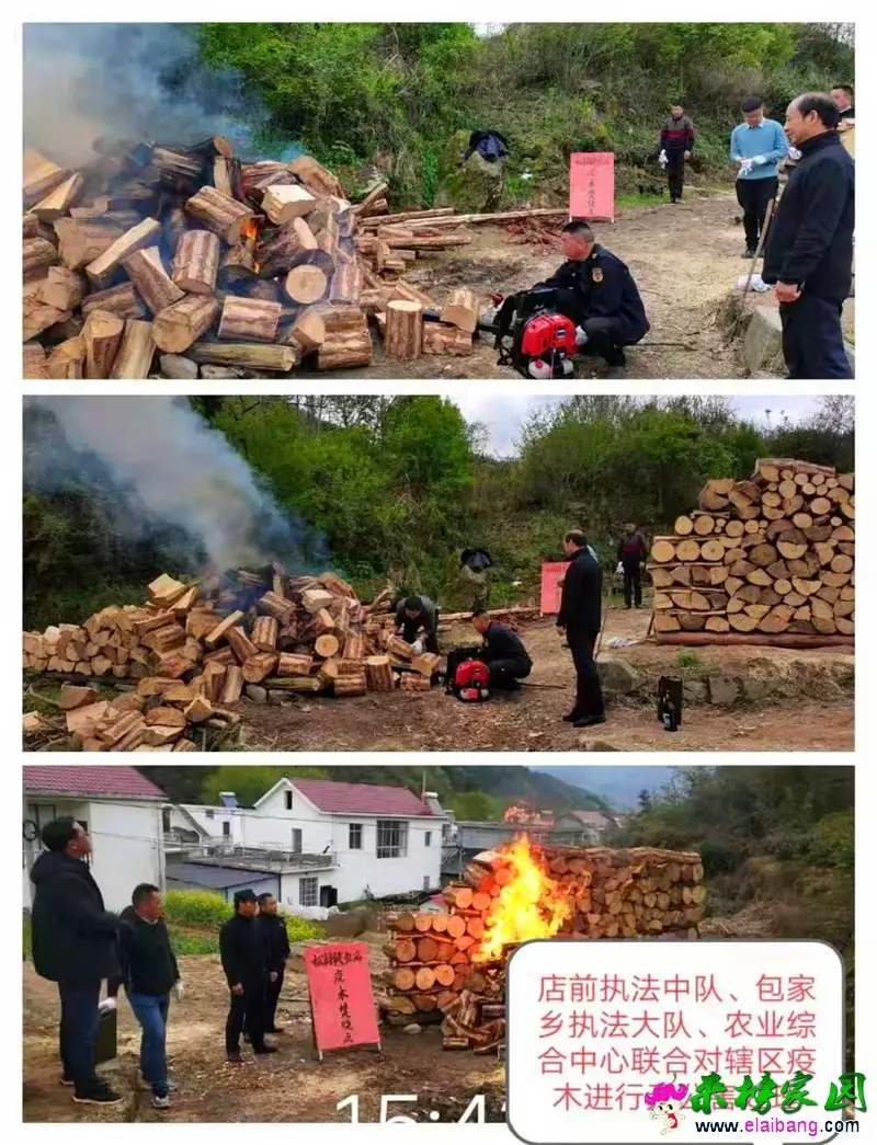 微信图片_20210412174025.webp