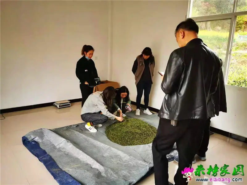 微信图片_20210412174021.webp