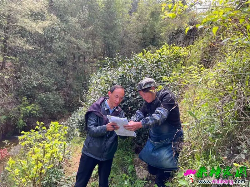 微信图片_20210413173144.webp