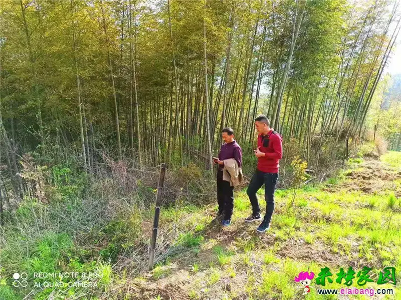 微信图片_20210413173137.webp