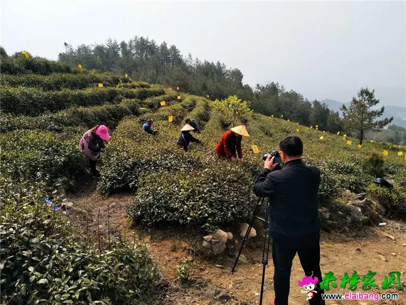微信图片_20210415213141.webp