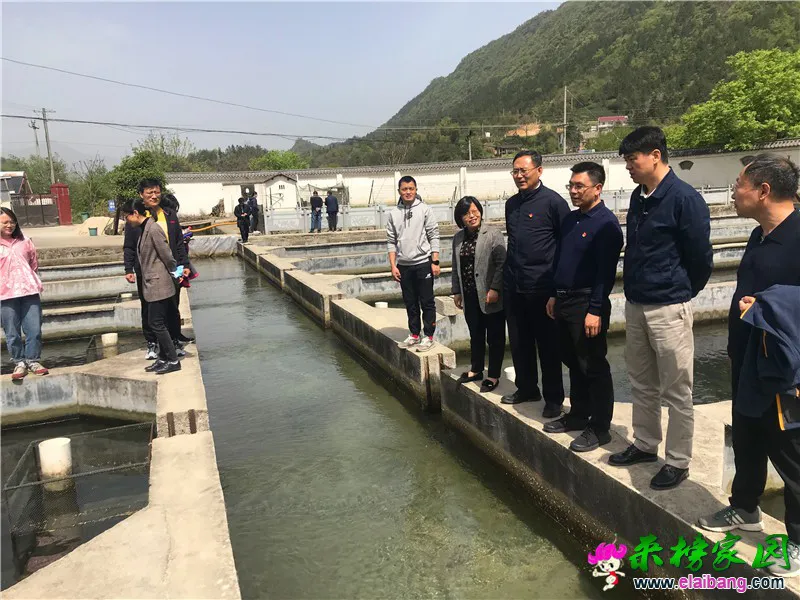 微信图片_20210417203727.webp