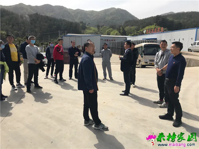 微信图片_20210417203732.webp
