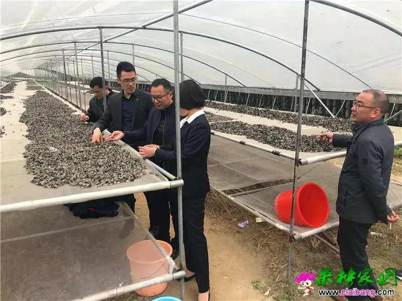 微信图片_20210419190928.webp