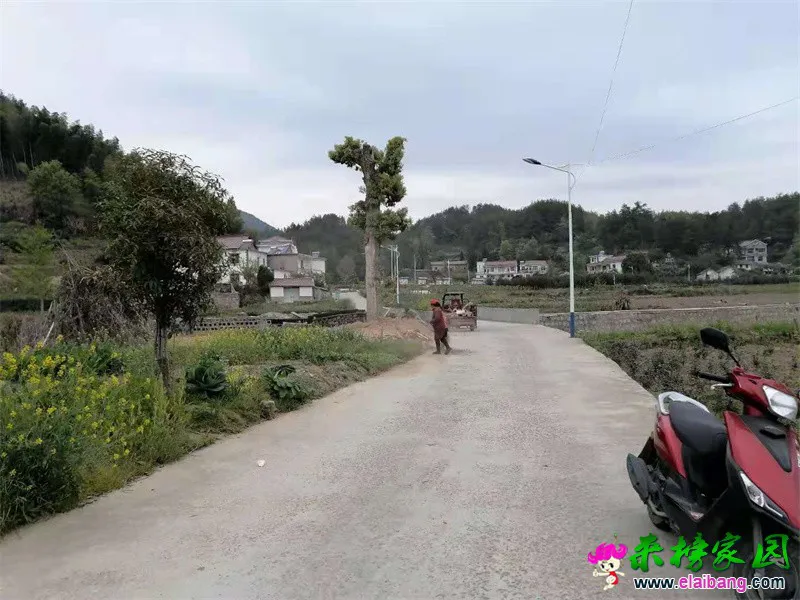 微信图片_20210421062410.webp