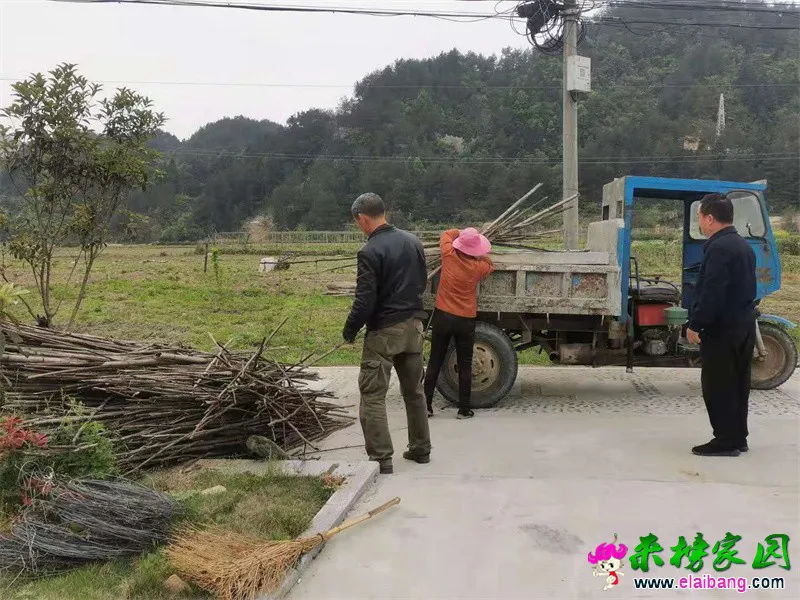 微信图片_20210421062405.webp