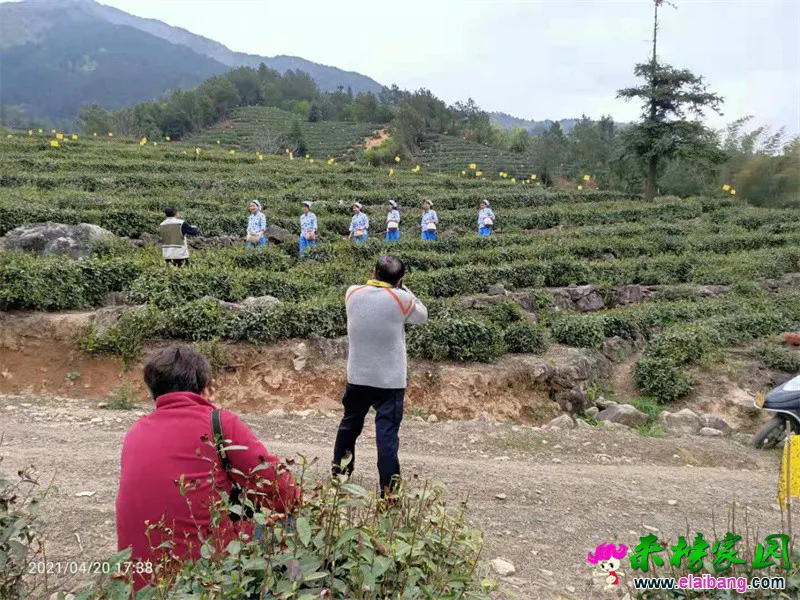 微信图片_20210421062455.webp