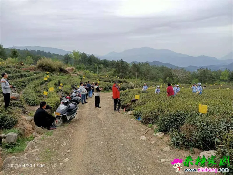 微信图片_20210421062452.webp