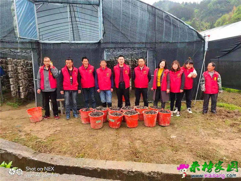 微信图片_20210421215409.webp